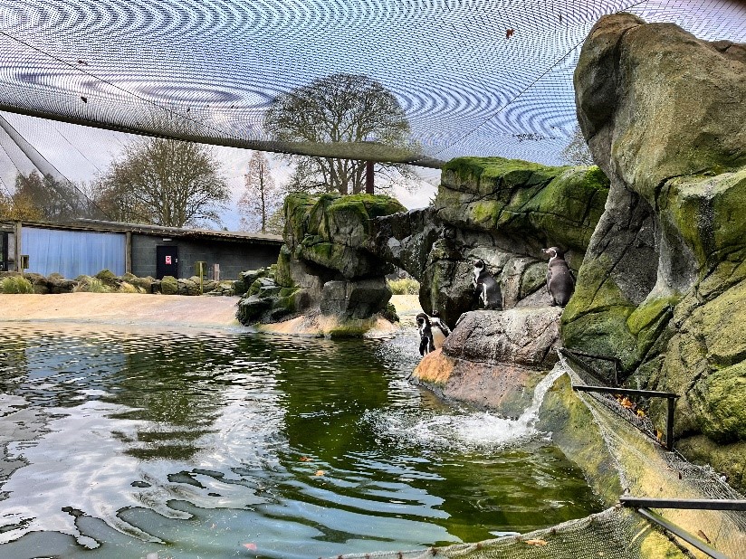 AutoPool®4.0 Swimming Pool Controller, Pool & Spa Controller